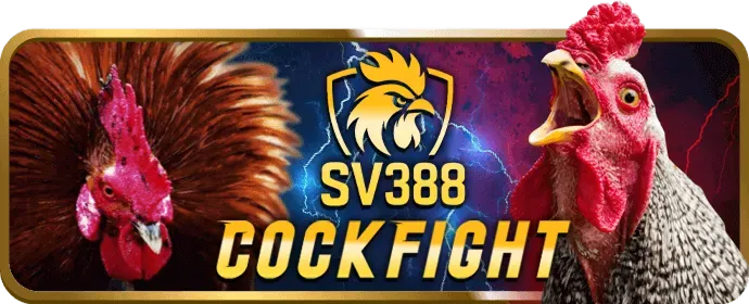 Khuyến mãi 365bet